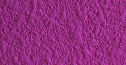 «Короед», «Кора дуба»